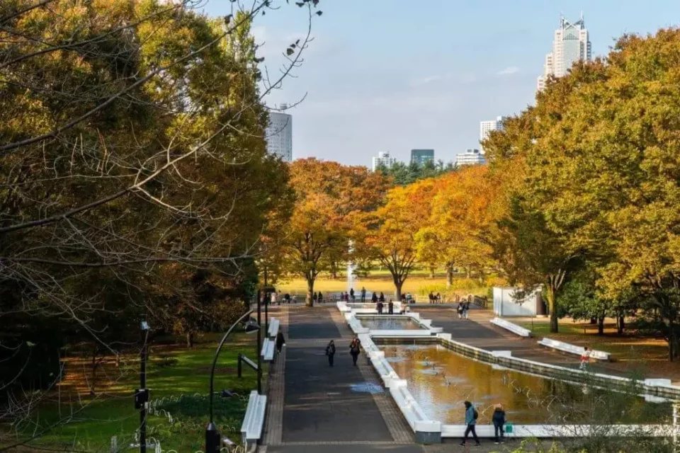 a view of Yoyogi Park in Autumn, with a fountain and walkers passing by