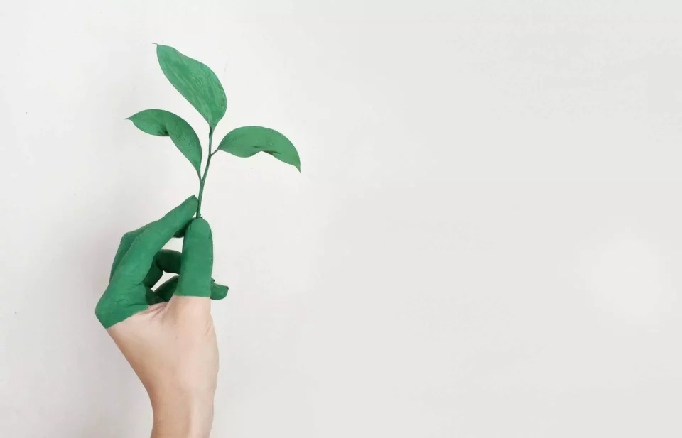 A woman holding a green plant