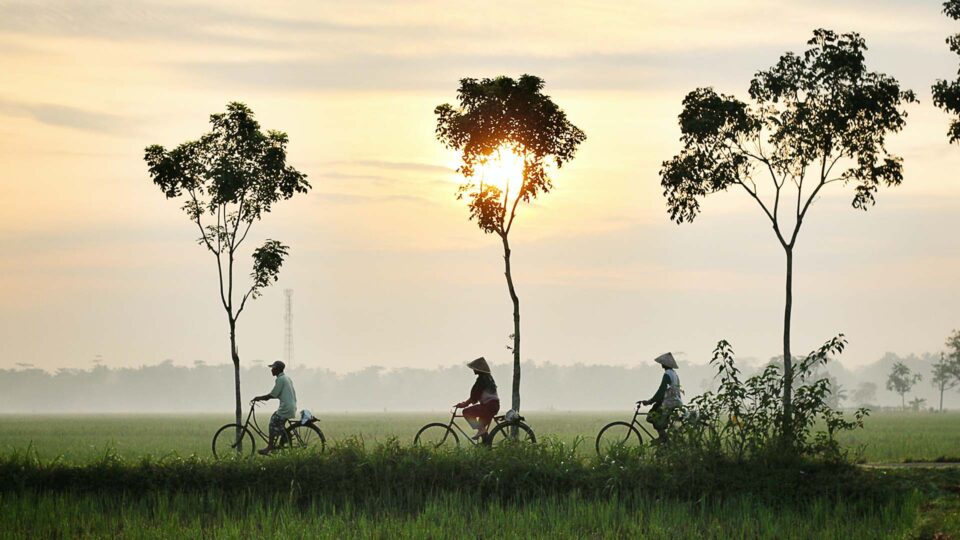 people riding bikes in Indonesia