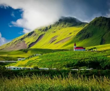 Green Iceland field