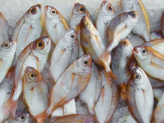 Pile of fish waiting to be grilled