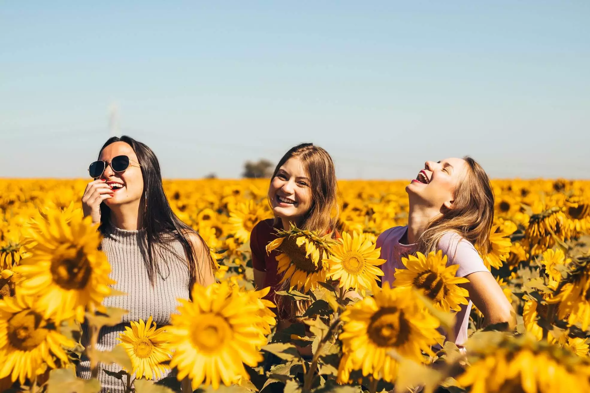 friends in a sunflower field