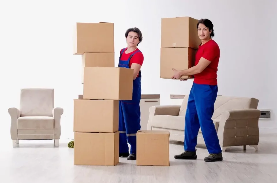 Movers carrying boxes