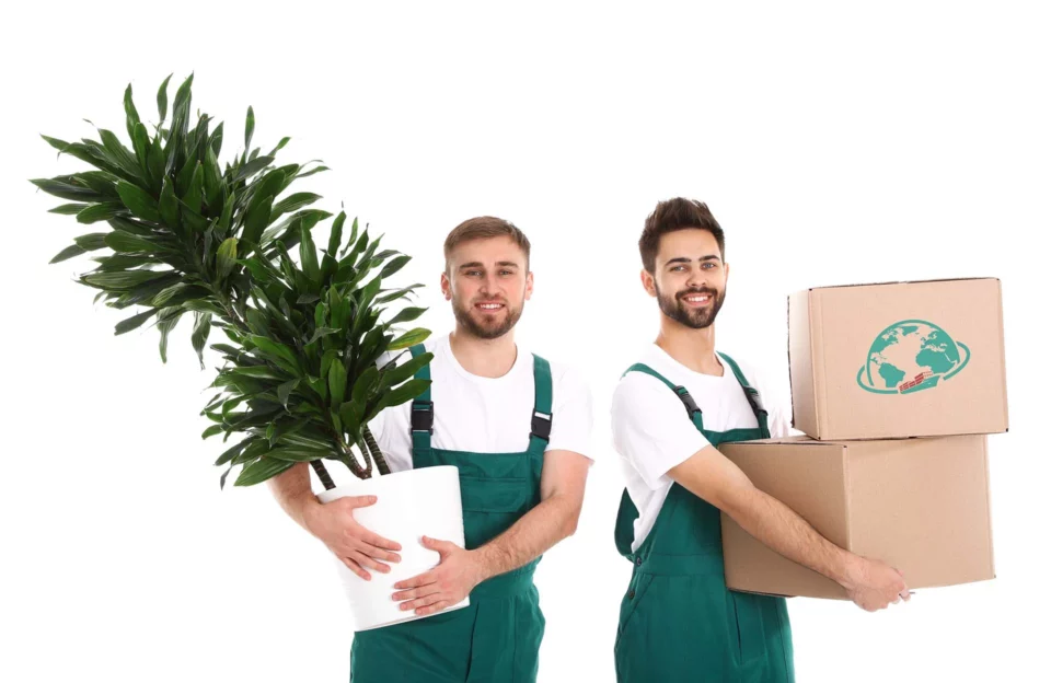 Professional movers carrying boxes 