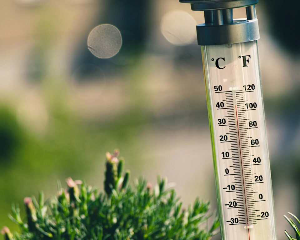 A thermometer in the grass