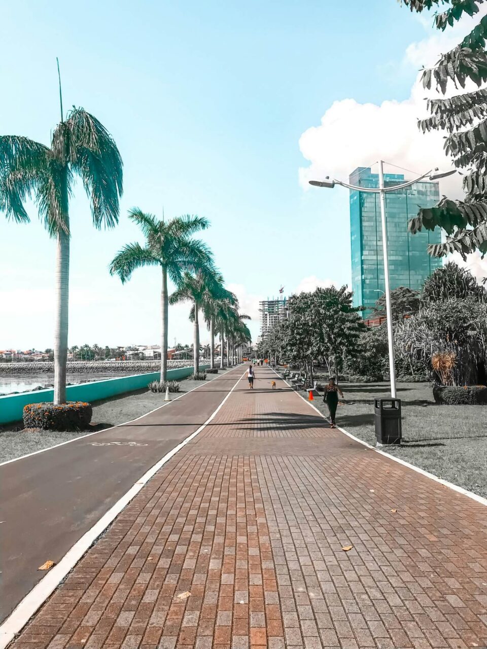 A gray concrete road lined with green palm trees leading toward Panama City during the daytime.